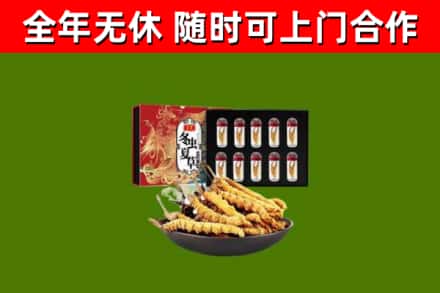 剑河县回收冬虫夏草价格